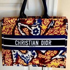 dior acrylic bolsa